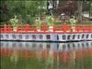 NARA - Todaiji - Podium sur l'eau et danseurs